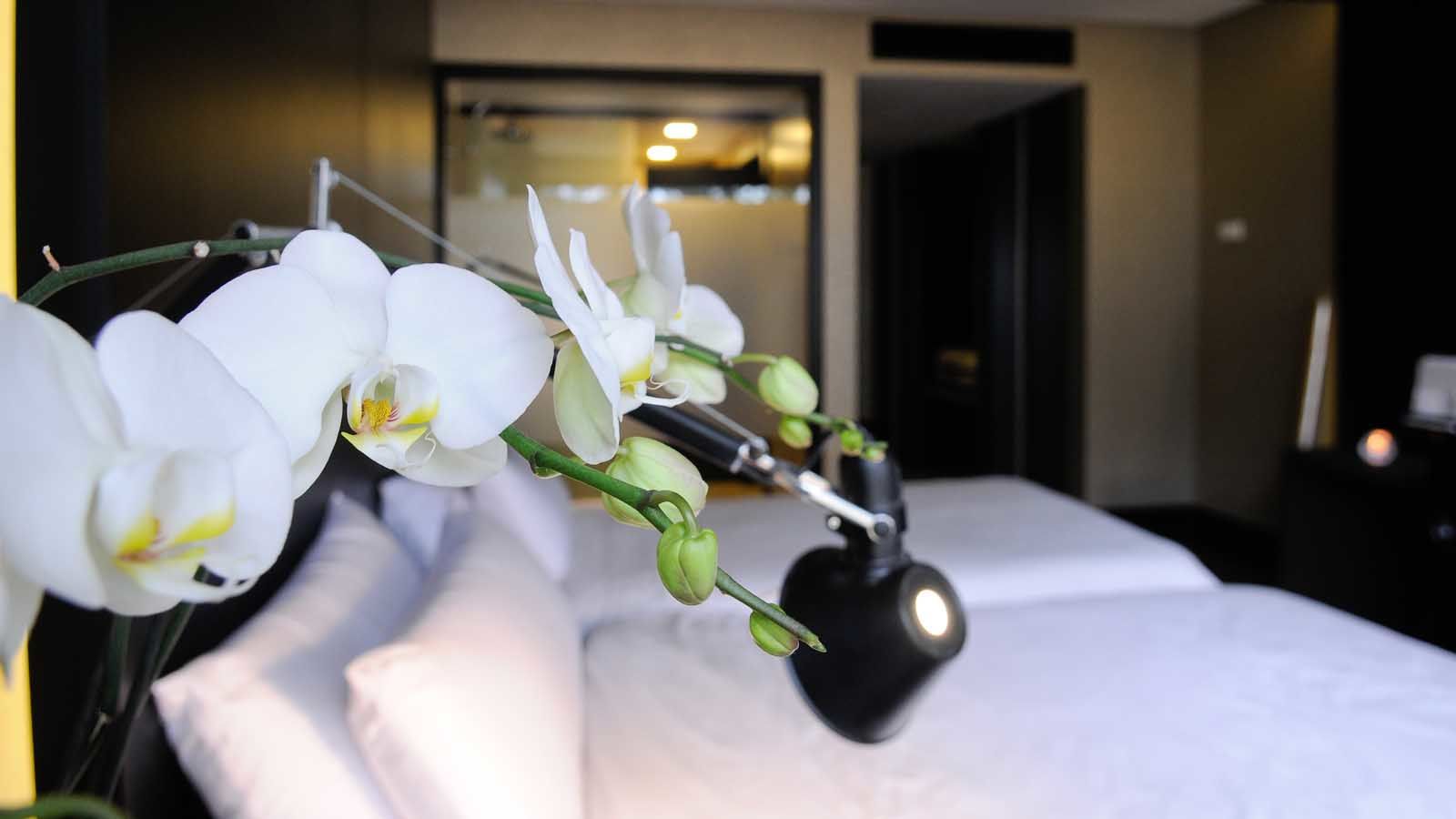 אמורה Evidencia Belverde Hotel מראה חיצוני תמונה